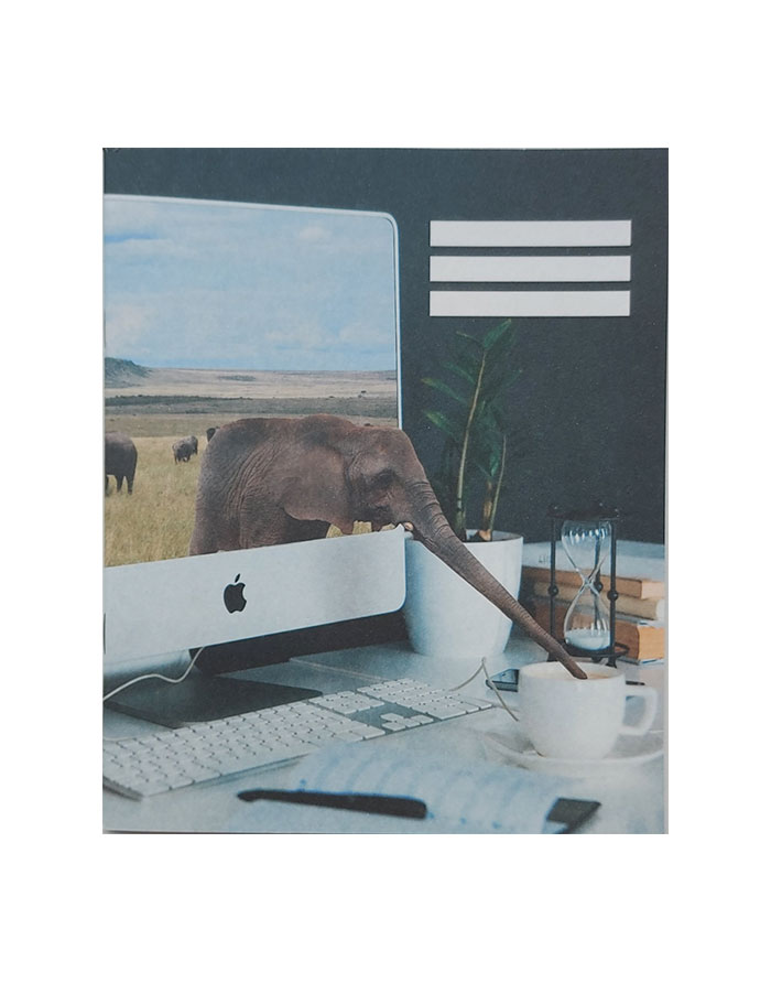 Caiet A5 48 file PATRATELE PVT