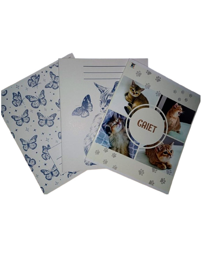 Caiet A5 48 file PATRATELE