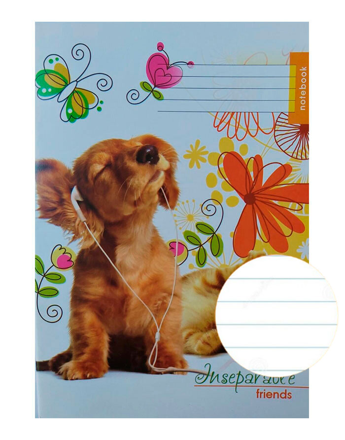 Caiet euro 24file  linie