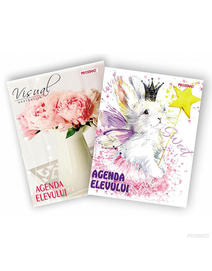 Agenda elevului coperta tare PROSTAND DPRD 48-70S