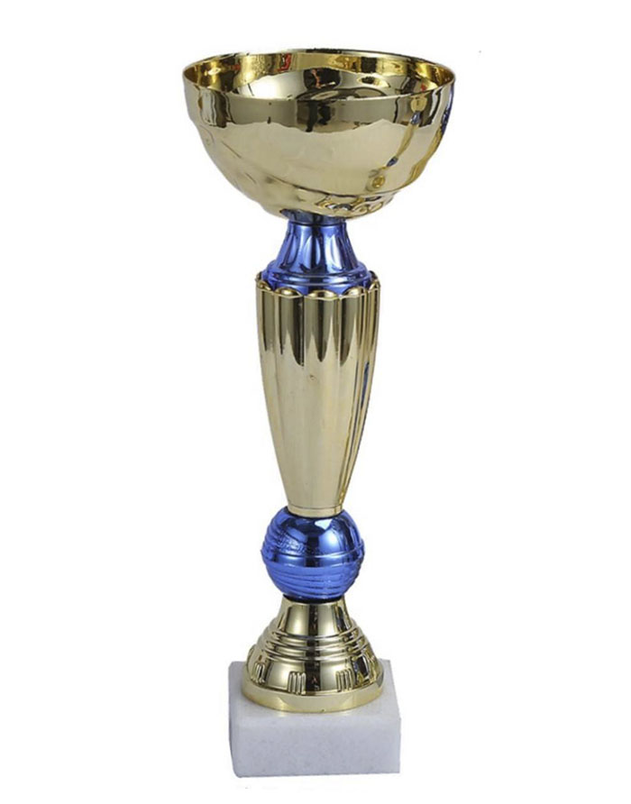 Cupa 21cm BC11 HH03675