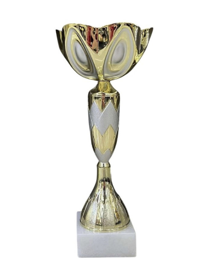 Cupa 26 5cm BC373 HH03906