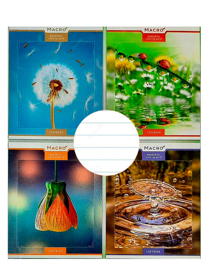 Caiet A5 24file  linie