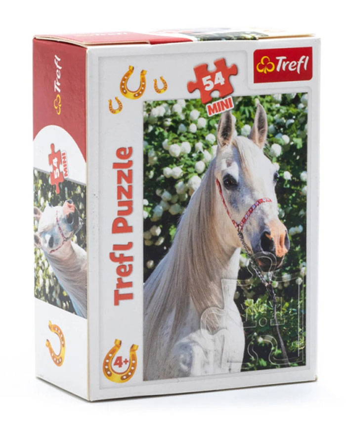 Puzzle 54 piese mini – Lumea Cailor