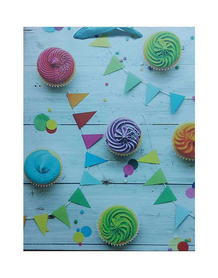 Punga pentru cadou 18x23x10cm  HH03923